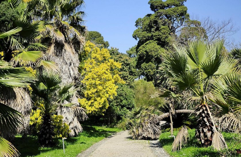 Jardin Botanique de la Villa Thuret, Antibes, France